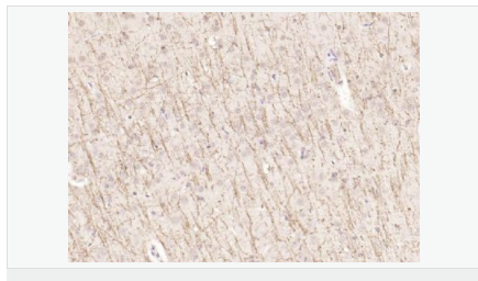 605410360a1d0.png image.png