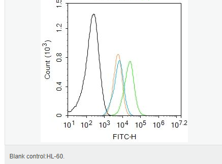 60541257c7151.png image.png