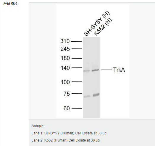 6057ee0830904.png image.png