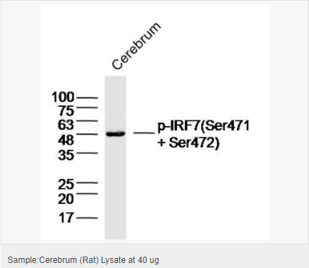 60583a6191a5d.png image.png