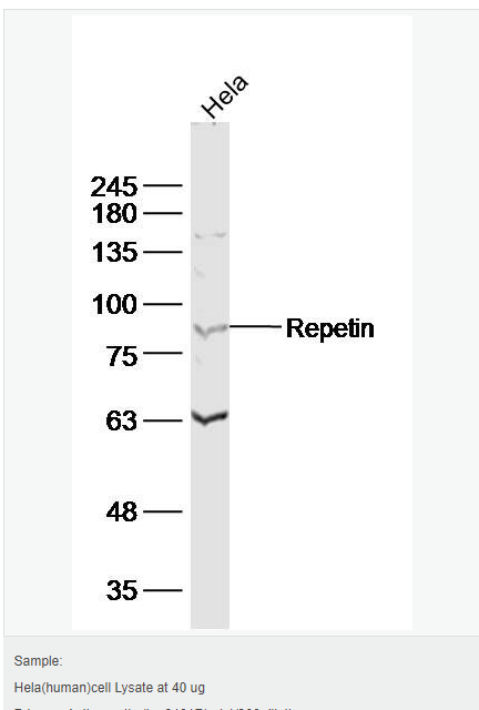 60583bbce8200.png image.png