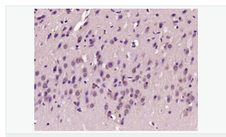 6058499502e83.png image.png