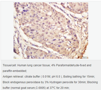 6059458277091.png image.png