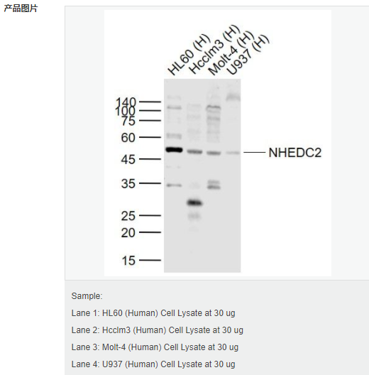 605948a38b645.png image.png