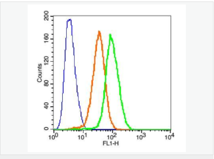 60594b8881b0a.png image.png