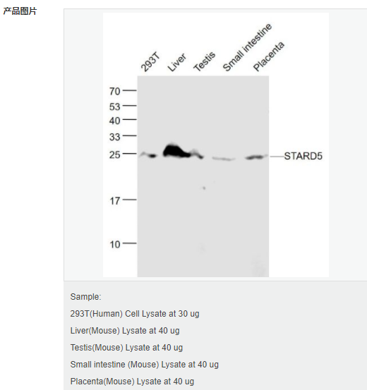 605c318637e3c.png image.png