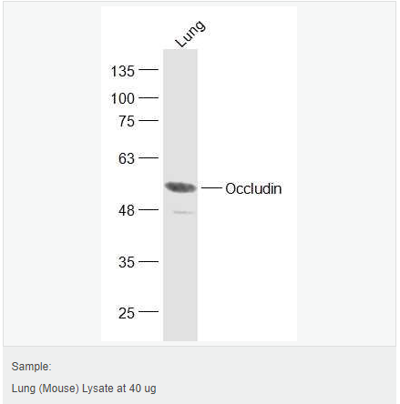 605d7639c0713.png image.png