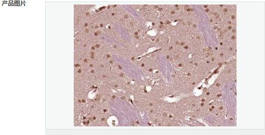 605d8598688e8.png image.png