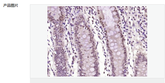 605d9176689ed.png image.png