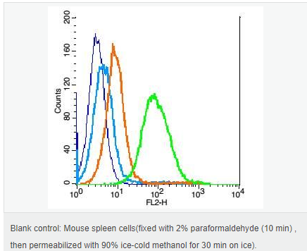 60619a194164c.png image.png