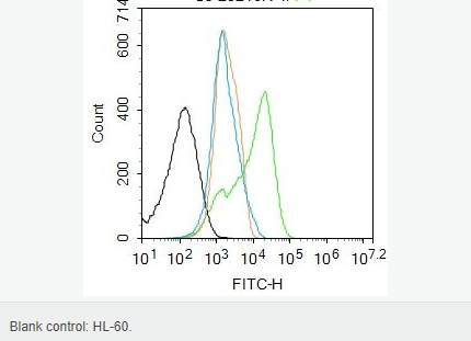 606560f9647b4.png image.png