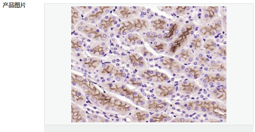 60656d7899b4c.png image.png