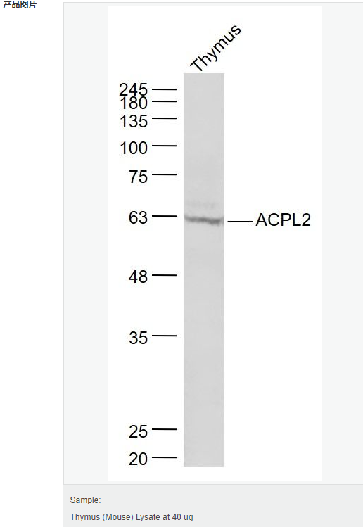 6066c2eb1fe82.png image.png