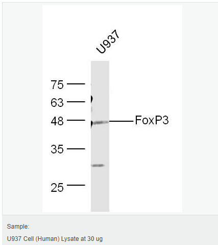 6066d224c10d1.png image.png