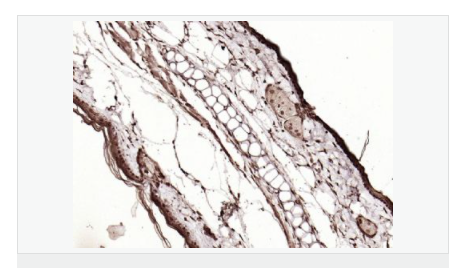 6066d49dbdf00.png image.png