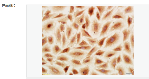 60763feb29b6a.png image.png