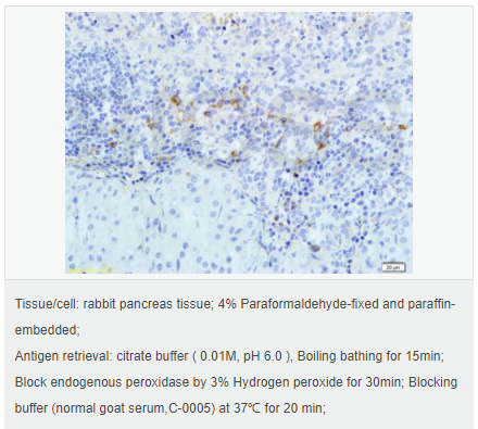 607640bbf3a8c.png image.png