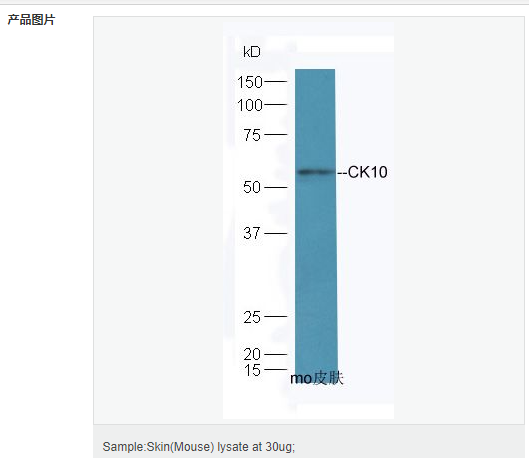 607647fb1a91b.png image.png