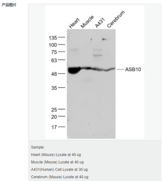 607658f50fd3a.png image.png