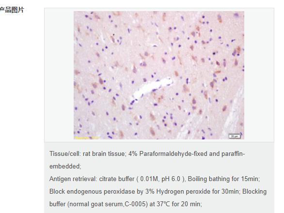 60779904eaaca.png image.png