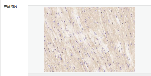 60779e910c5e5.png image.png