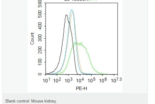 6078e8ac1c872.png image.png