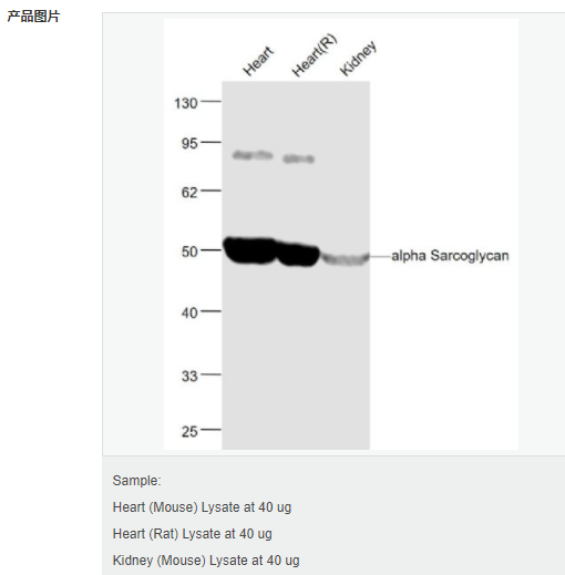 607955e047b68.png image.png