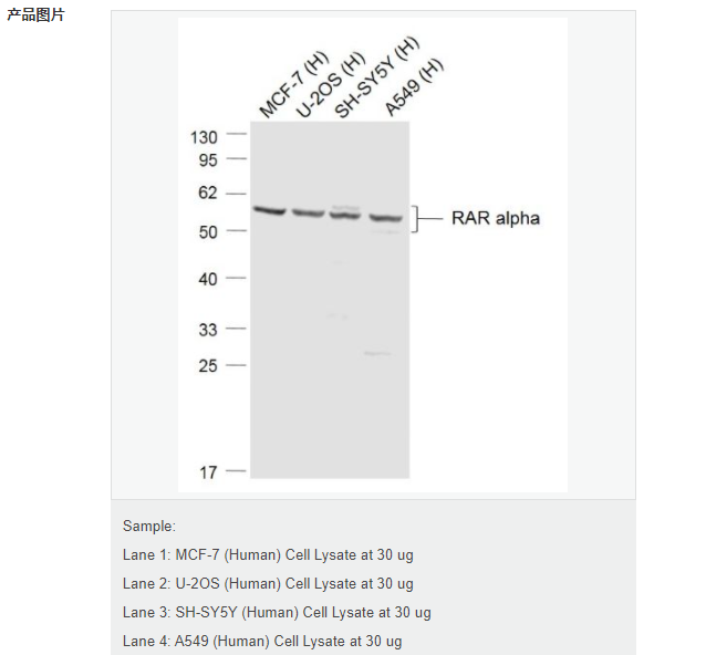 607d1508bbf2e.png image.png